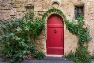 Old wooden door entwined with plants in old town of Pézenas. Built around the XVI century. Old wooden door entwined with plants in old town of Pézenas. Built around the XVI century.